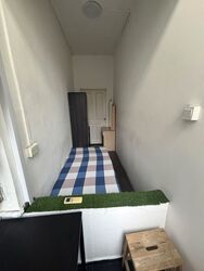 East Grove (D15), Apartment #639492391